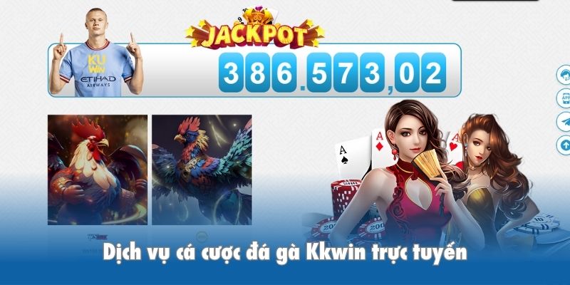 Dịch vụ cá cược đá gà Kkwin trực tuyến