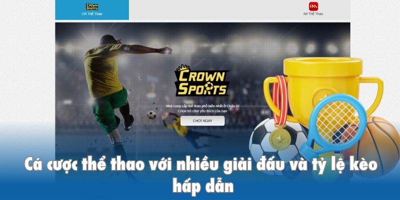 Cá cược thể thao Kkwin với nhiều giải đấu, tỷ lệ kèo hấp dẫn