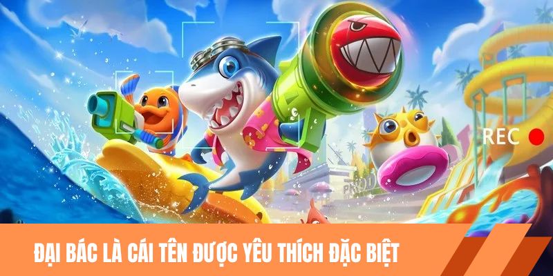 Đại bác là cái tên được yêu thích đặc biệt