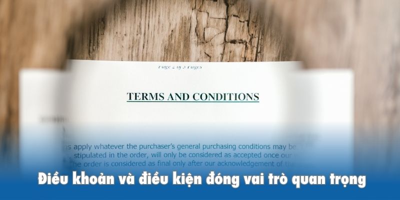 Tìm hiểu điều khoản và điều kiện đóng vai trò quan trọng