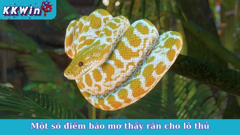 Một số điềm báo mơ thấy rắn cho lô thủ