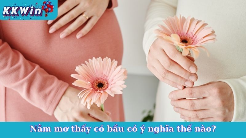 Nằm mơ thấy có bầu có ý nghĩa thế nào?