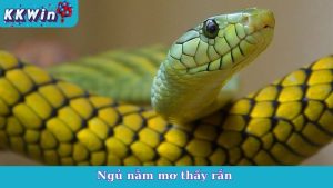 Ngủ Nằm Mơ Thấy Rắn
